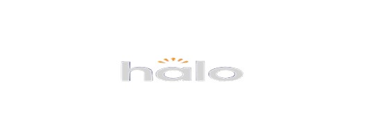 Logo 1
